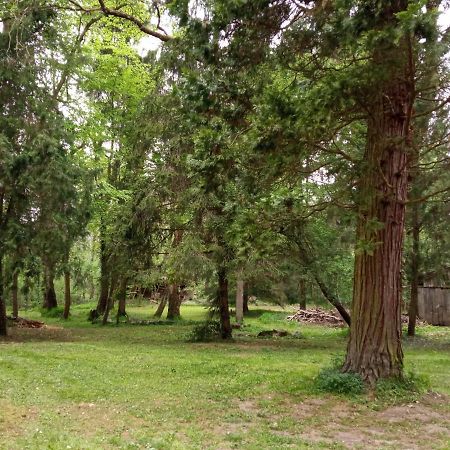 Kalmar Vendeghaz-Vadaszhaz Tornyiszentmiklos Bagian luar foto