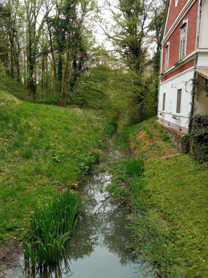 Kalmar Vendeghaz-Vadaszhaz Tornyiszentmiklos Bagian luar foto